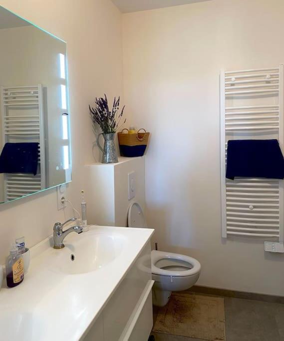 Peaceful Retreat In Drome Provencale Castel Apartment Montboucher-sur-Jabron Екстериор снимка